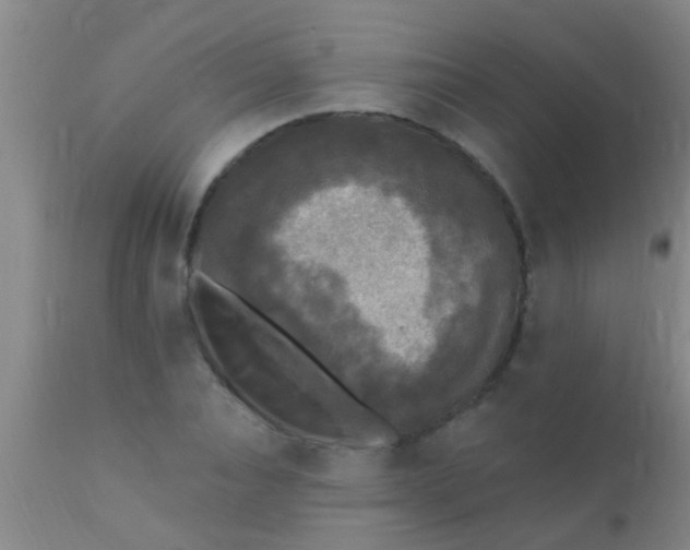 X0000110940928200907022130