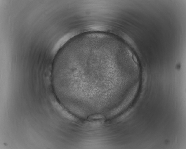 X0000110940930200907022130