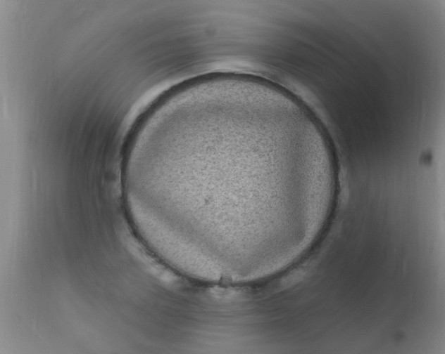 X0000110940931200907022130