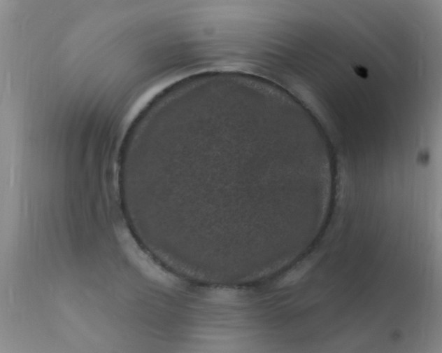 X0000110940932200907022130