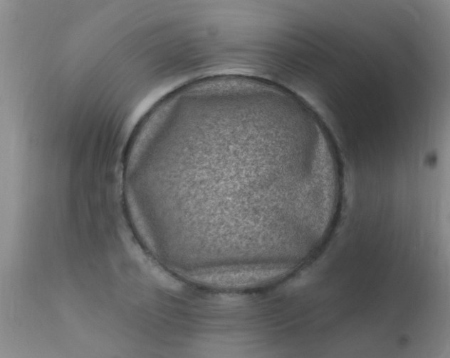 X0000110940933200907022130