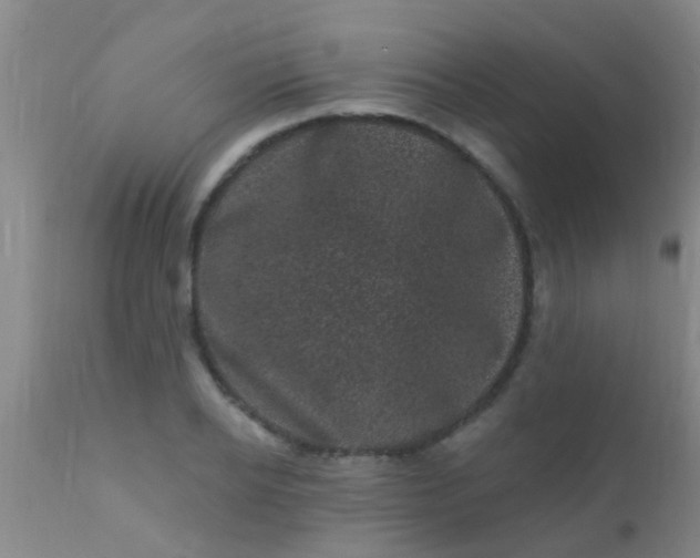 X0000110940934200907022130