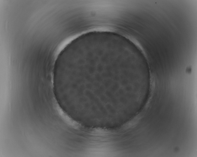 X0000110940935200907022130