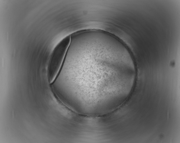 X0000110940936200907022130