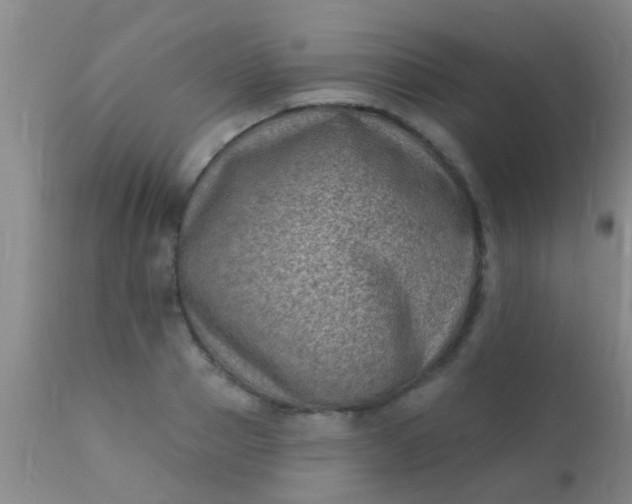 X0000110940937200907022130