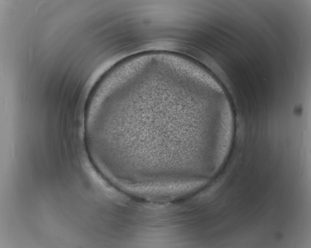 X0000110940939200907022130