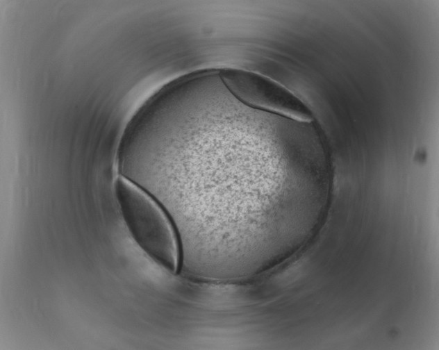 X0000110940940200907022130