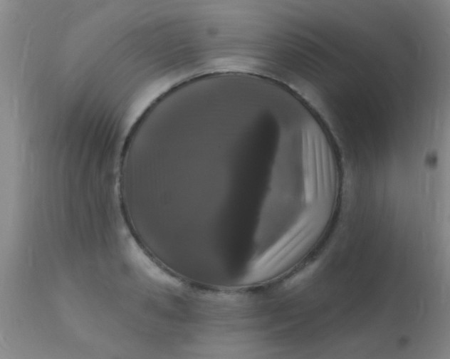 X0000110940941200907022130