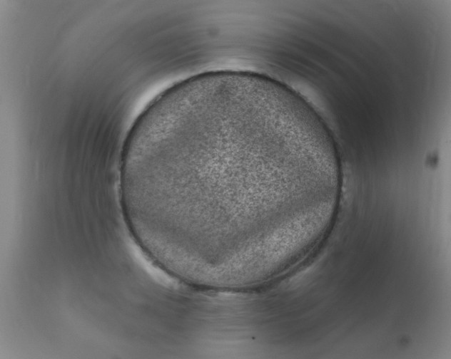 X0000110940942200907022130