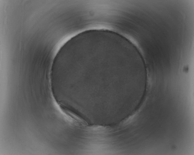 X0000110940943200907022130