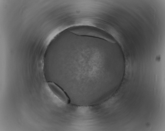 X0000110940944200907022130