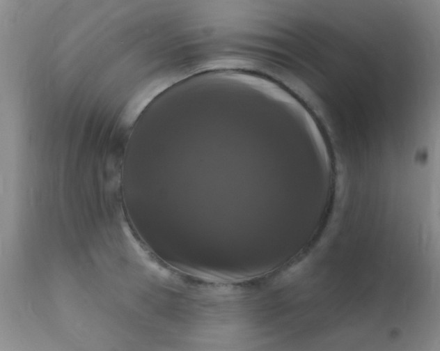 X0000110940945200907022130