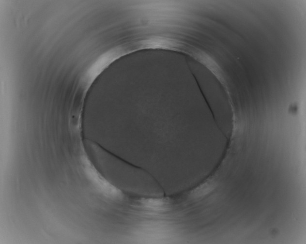 X0000110940946200907022130