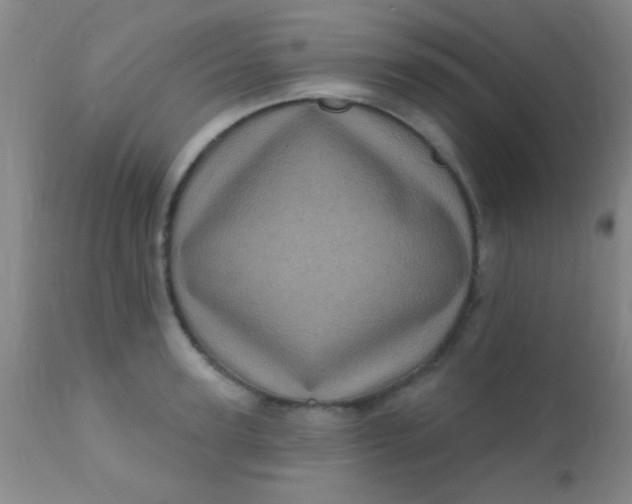 X0000110940947200907022130