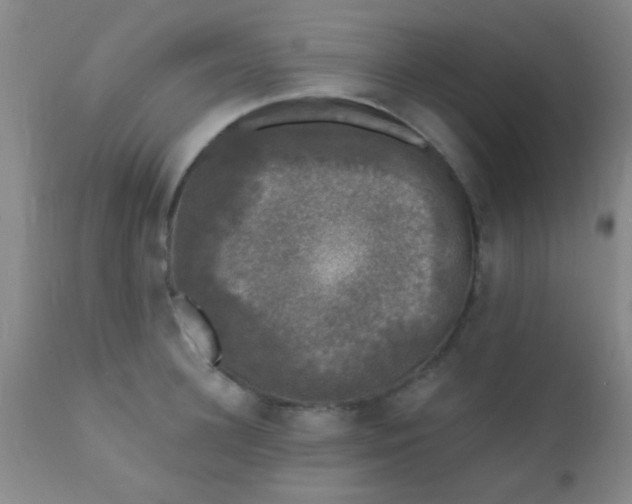 X0000110940948200907022130