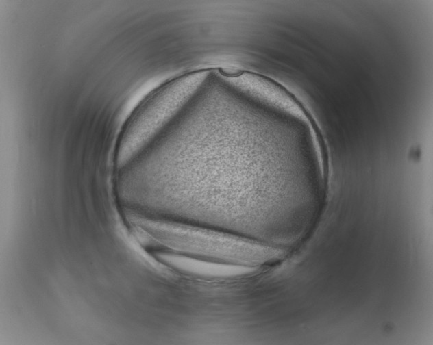 X0000110940949200907022130