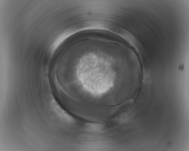 X0000110940952200907022130