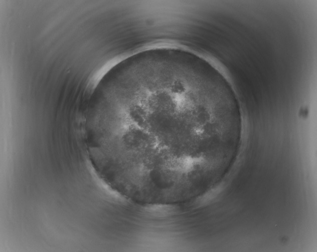 X0000110940953200907022130