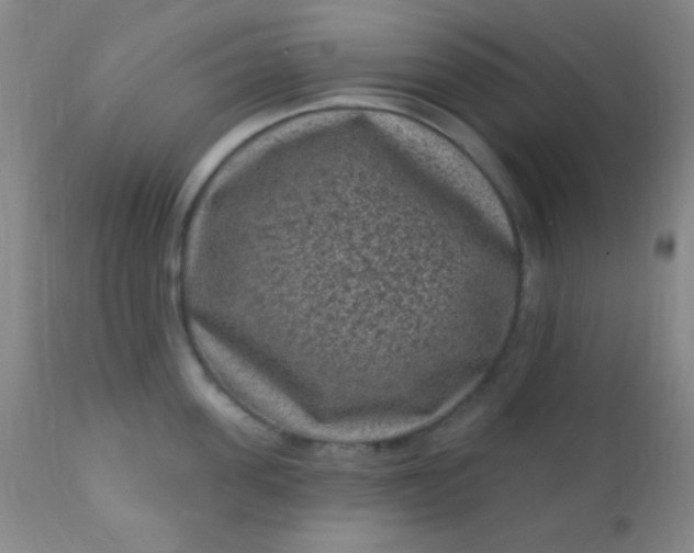 X0000110940955200907022130