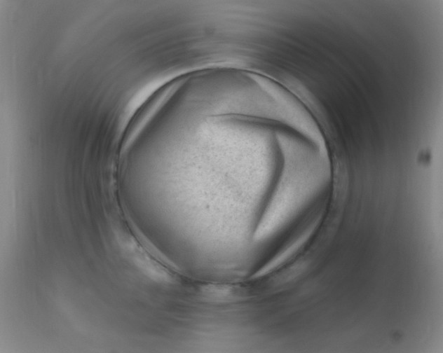 X0000110940956200907022130