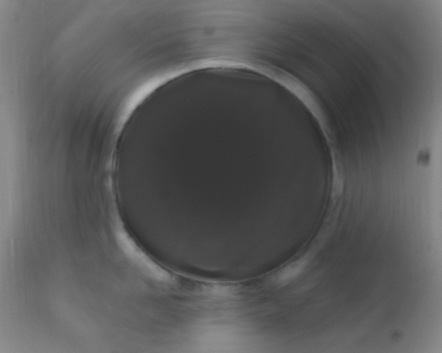 X0000110940958200907022130