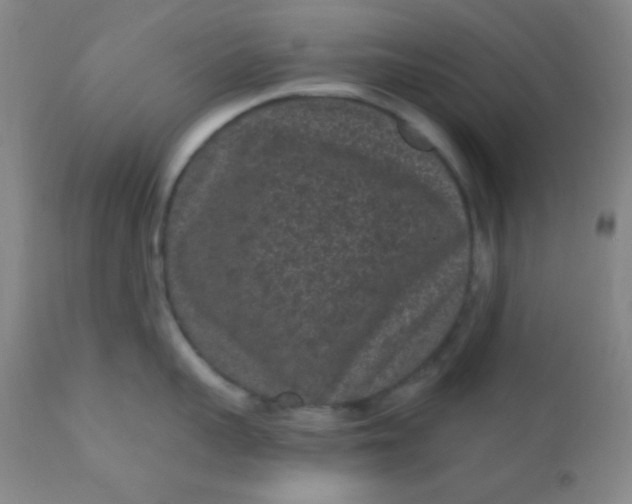 X0000110940959200907022130