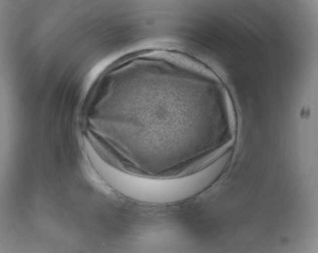 X0000110940960200907022130