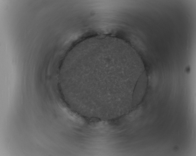 X0000110940961200907022129