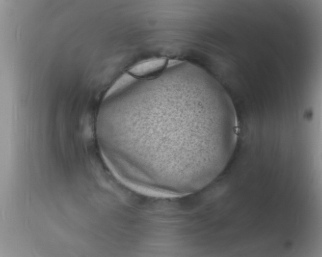 X0000110940962200907022129