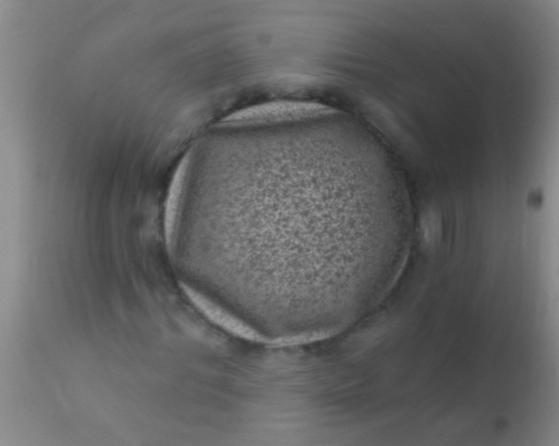 X0000110940964200907022129