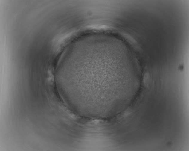 X0000110940966200907022129