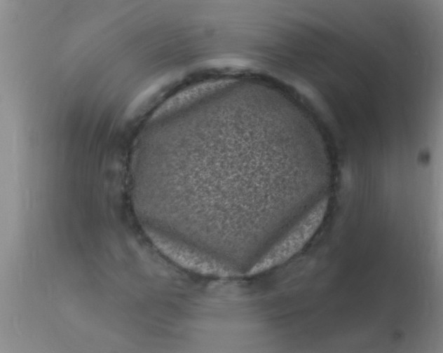 X0000110940967200907022129