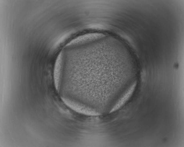 X0000110940968200907022129