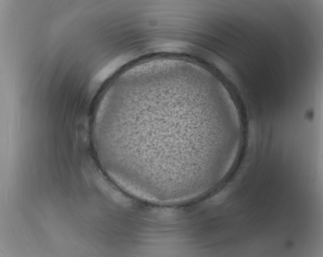 X0000110940970200907022129