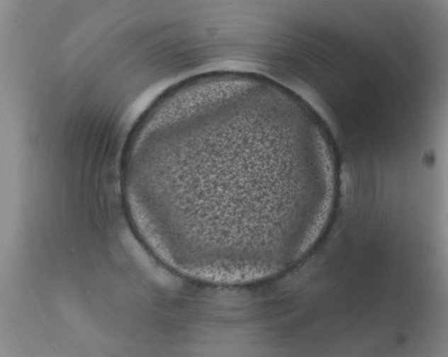 X0000110940972200907022129