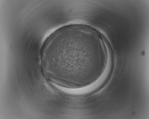 X0000110940973200907022129