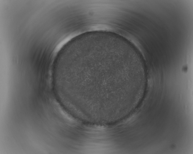 X0000110940975200907022129