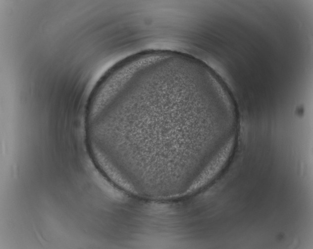 X0000110940976200907022129