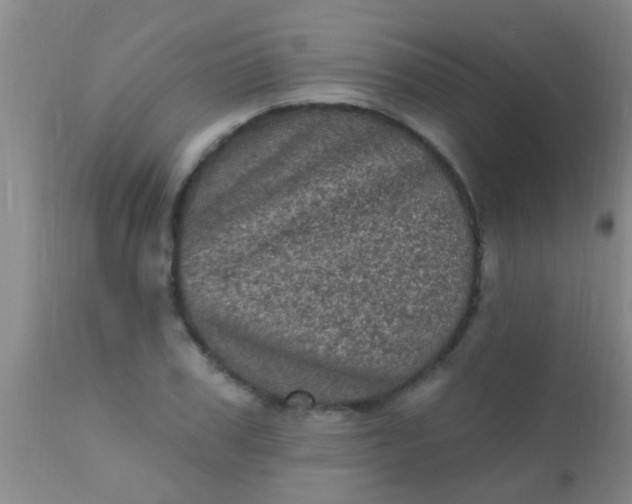 X0000110940979200907022129