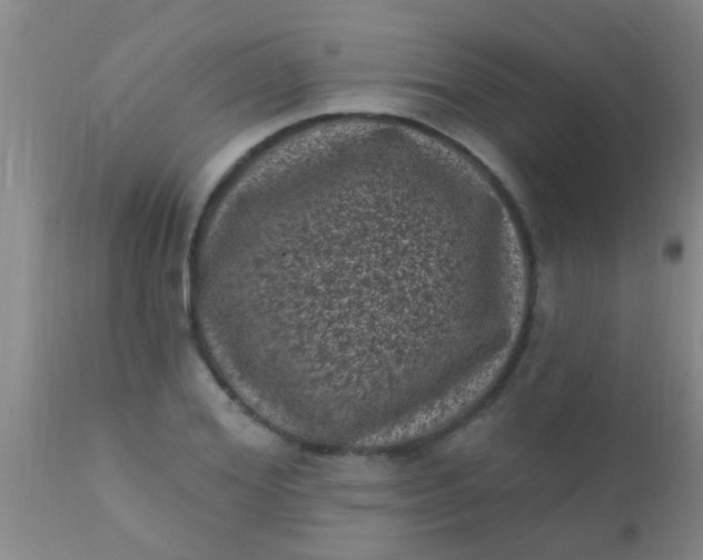 X0000110940980200907022129