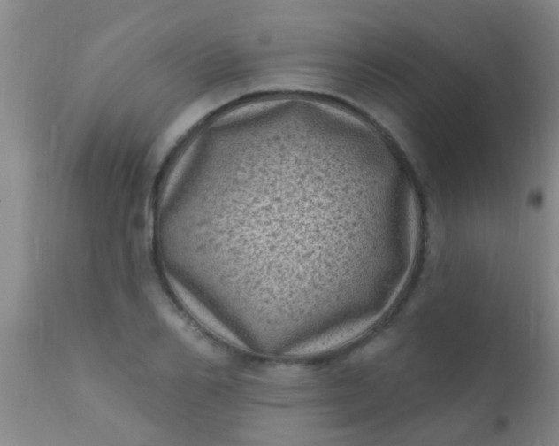 X0000110940982200907022129