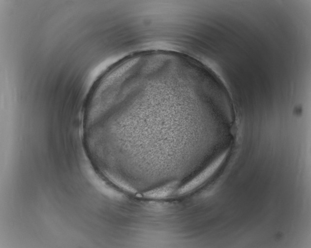 X0000110940987200907022129