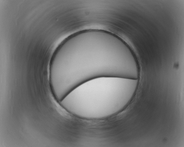 X0000110940988200907022129