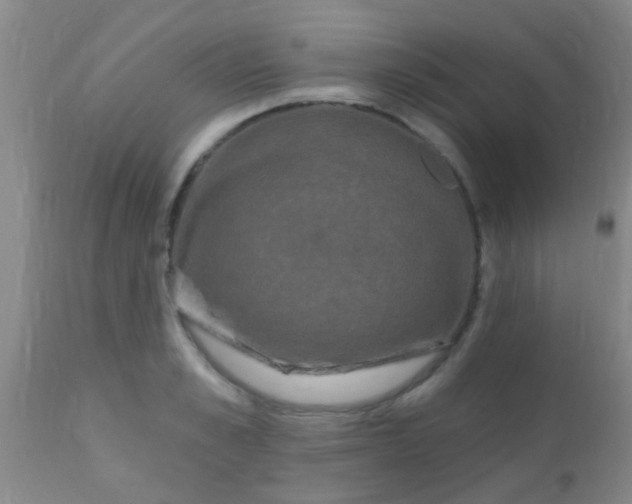 X0000110940989200907022129