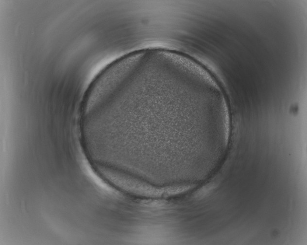 X0000110940991200907022129