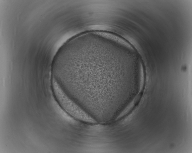 X0000110940992200907022129