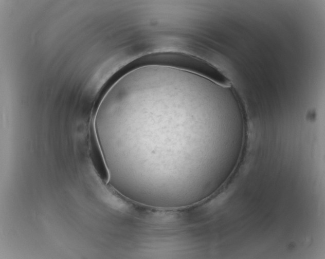 X0000110940993200907022129