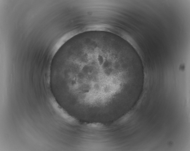 X0000110940994200907022129