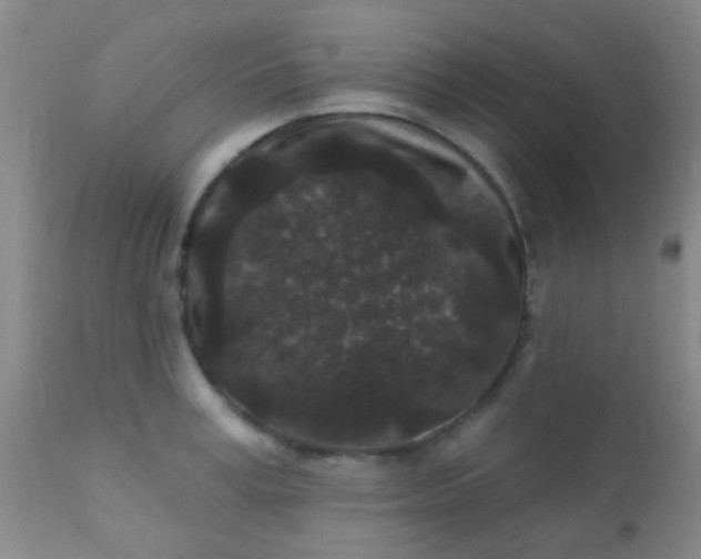 X0000110940995200907022129