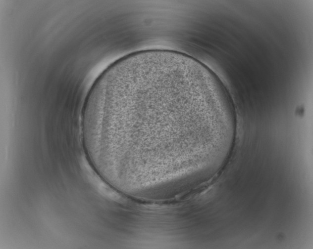 X0000110940996200907022129